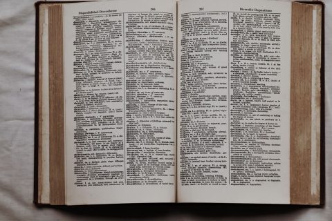 Переводы документов — иллюстрация